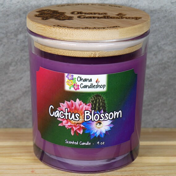 Cactus Blossom Scented Candle Baja Cactus Blossom Candle Etsy