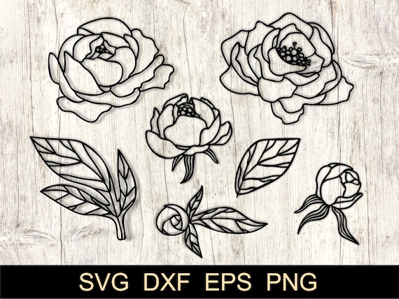 Download Flower Svg Papercut Peony Svg Cutfile Flowers Svg Flowers Cut File Floral Svg Floral Frame Cut File Wedding Vinyl Cut Silhouette Cricut