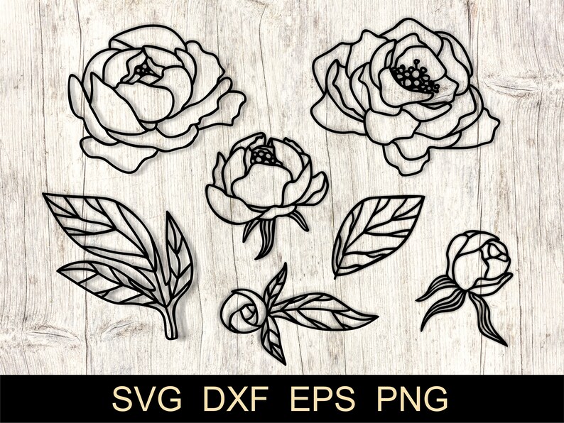 Free Free 232 Flower Svg Cricut Vinyl SVG PNG EPS DXF File