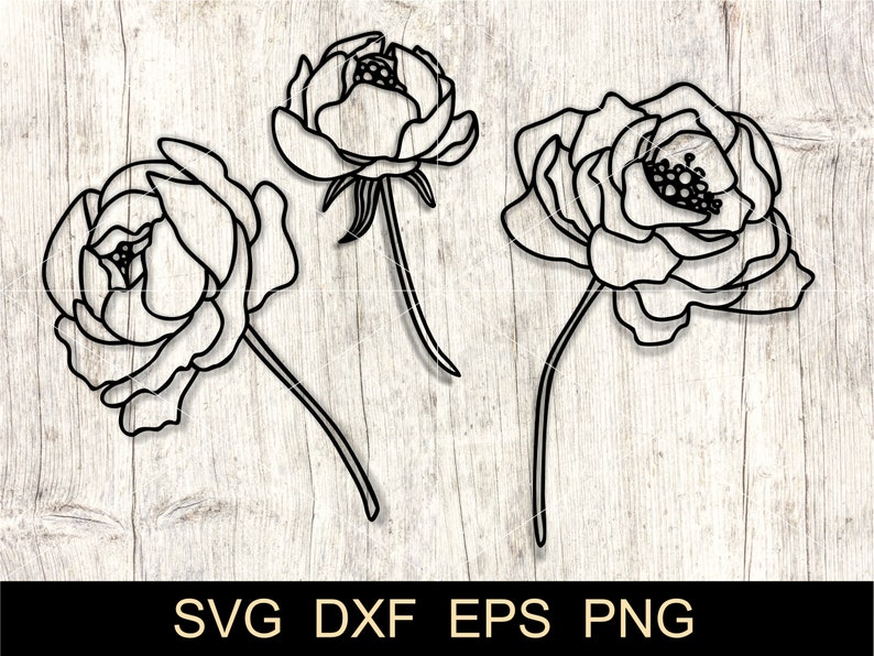 Free Free 129 Vinyl Flower Svg Cricut SVG PNG EPS DXF File
