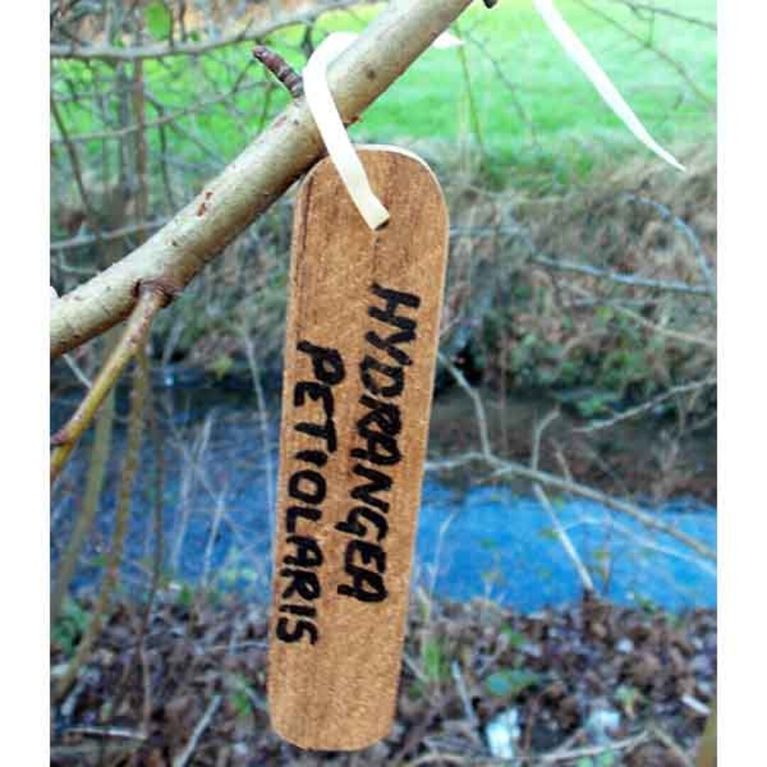 Wooden Label - Teak Hanging Label Make Labelling Your Plants Easy - Etsy UK