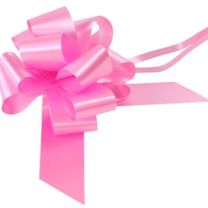 May include: A large pink satin bow with long tails. The bow is tied in a classic style with multiple loops and is perfect for adding a touch of elegance to gifts or decorations.