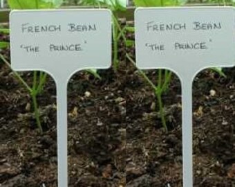 Pode incluir: Dois marcadores de jardim brancos com o texto "FRENCH BEAN" e "THE PRINCE" em letras pretas. Os marcadores são colocados em solo escuro com plantas verdes ao fundo. Os marcadores são feitos de plástico.
