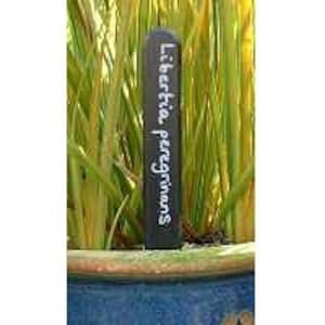 May include: Black slate plant marker with white lettering that reads "Libettia peregrinas".
