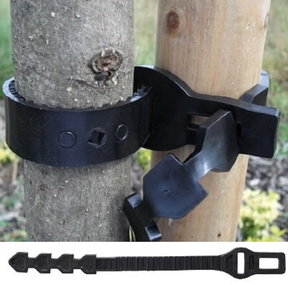 38cm Rubber Tree Ties - Etsy