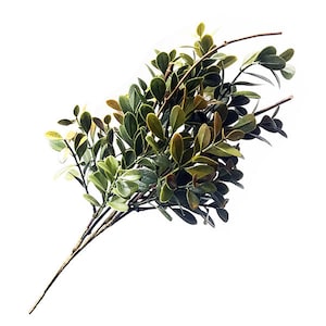 May include: A bunch of artificial green leaves with brown stems. The leaves are arranged in a cluster, with some leaves overlapping others. The stems are long and thin, and they are all connected to a single base.