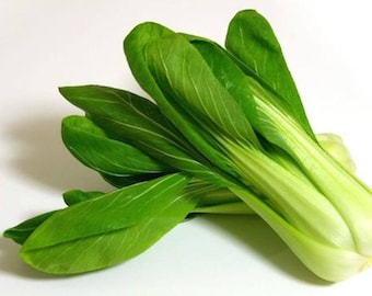 Packet of Bok Choy Fong San, Pak Choi, Pak Choy or Bok Choi Seed, (BRASSICA RAPA subsp. CHINENSIS),Chinese cabbage