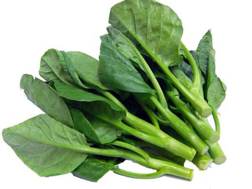 Chinese Kale Phak Khana Thai Vegetable Seeds Good Quality Free Shiping 10+Seed 