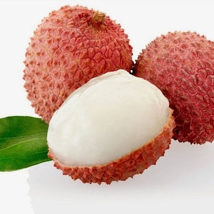 Thai Lychee seeds Outdoor Fruit Tree Rare Sweet LITCHI CHINENSIS seed image 2