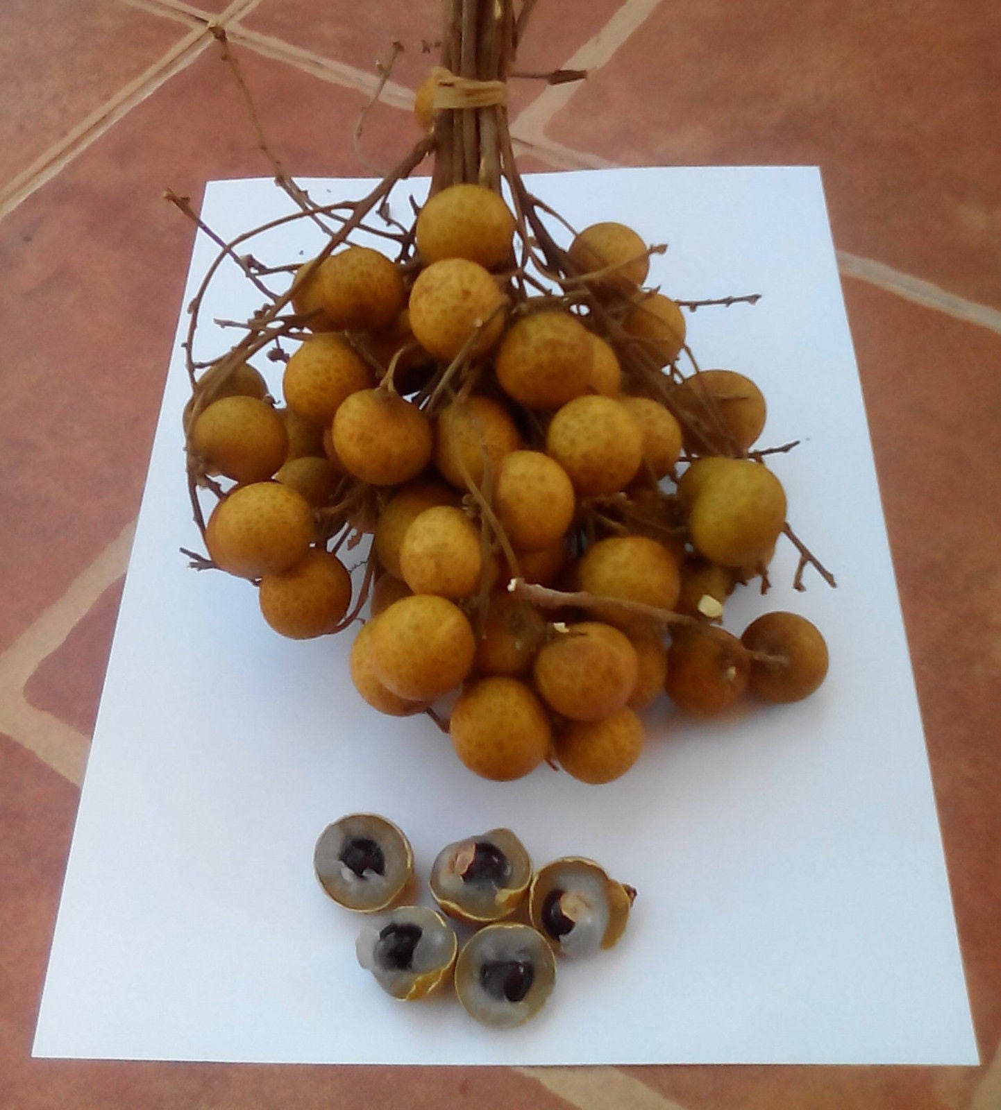 Thai Longan Berry or Lam Yai, Sweet Exotic Tropical Fruit , Dragon