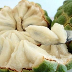 Thai fresh Custard Apple Seeds, ANNONA RETICULATA, Sweet healthy fruit, Sweetsop, or Sugar Apple seed image 1