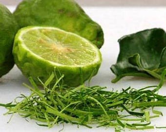 Thai Kaffir Lime Seed, Grow your own, CITRUS HYSTRIX, bio und duftende Quelle von Lindenblättern zum Kochen - 10 Samen