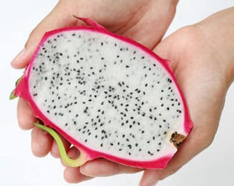 Pitaya Hylocereus Fruit Giant Dragon Pitahaya 50 Seeds Fresh Pitaya Hylocereus Fruit Giant Dragon Pitahaya 50 Seeds Fresh