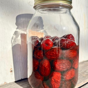 Jujube Dates Botanical Extract, Handcrafted with Certified Organic Extraction, For Botanical Perfume & Home DIY