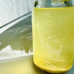 May include: A clear glass Ball wide-mouth jar filled with a yellow liquid. The jar has a silver lid and the words "Ball" and "Wide Mouth" are embossed on the glass. Sediment is visible at the bottom of the jar.