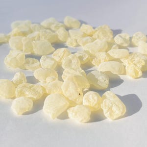 Mastic Gum, A Fragrant Treasure from Chios, Greece | Pure Tree Resin with a Fresh, Woody Aroma