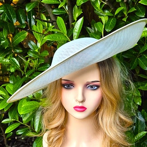 Puede incluir: Un sombrero azul claro con ala ancha y ribete color crema. El sombrero est&aacute; hecho de un material tejido y tiene una copa redondeada. El sombrero se exhibe en un maniqu&iacute; con cabello rubio y l&aacute;piz labial rosa. El fondo es follaje verde.