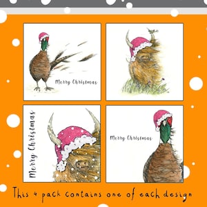 SCHOTSE KERSTKAARTEN Heelan Coo Fazant winderig illustratie eigenzinnig uniek geïllustreerd Catherine Redgate Xmas Fun koe Highland santa pack