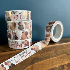 CAPYBARA positivo WASHI TAPE artigianato cancelleria carta illustrare scozzese Catherine Redgate scozzese bullet journal divertimento sii felice animale carino