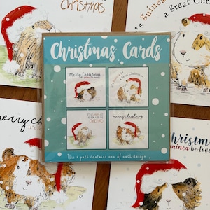 Cavia pack 4 KERSTkaarten geïllustreerd Catherine Redgate kaart kerst woordspeling humor schattig winter seizoenen groeten varkens hamster gezelschapsdier