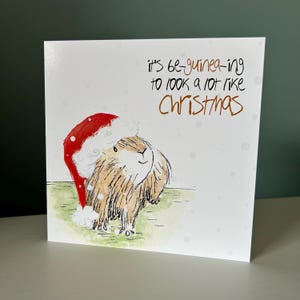 Commençant à ressembler à une carte de Noël illustrée de Noël, Catherine Redgate, un père Noël fantasque et décalé, un cochon d'Inde, un animal de compagnie mignon