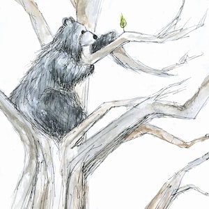 Atteindre High Bear Illustration carte vierge Catherine Redgate feuille ambition aventure arbre positivité santé mentale grimper haut