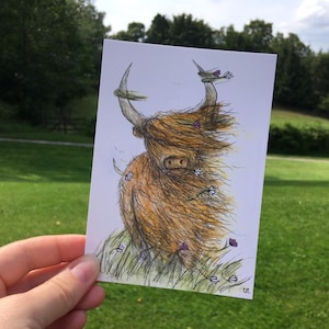 Windswept Heelan Coo Postkarte Catherine Redgate Highland Kuh Scottish Schottland niedlich windig lustigen Tier Kühe orange Karte Post Print