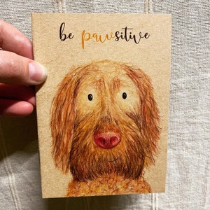 Wire Haired VIZSLA DOG A6 ECO Jotter Artist Sketchpad Notebook plain inside Catherine Redgate character animal journey positive dogs cute