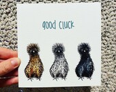 GOOD CLUCK Silkie Chicken Greeting Card - blank inside Catherine Redgate funny pun celebration positive good luck new job farm bird wish