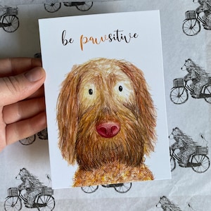 PAWSITIVE DOG cartolina Catherine Redgate lettera messaggio illustrazione positività salute mentale post umorismo gioco di parole cani viszla dai capelli