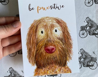 Carte Sainte Catherine Petit Chien - 8