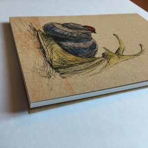 May include: A hand-drawn illustration of a snail with a ladybug on its shell. The snail is drawn in black ink on brown paper with watercolour accents.