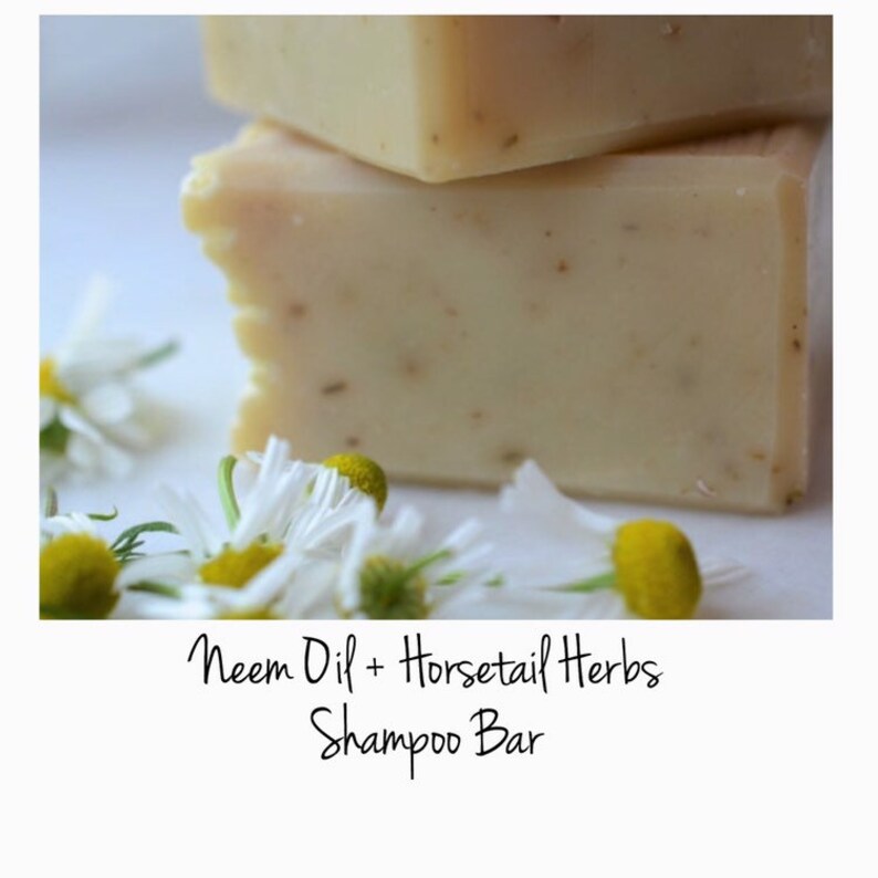 Horsetail Herb Neem Shampoo Bar Good for Thinning Hair Etsy