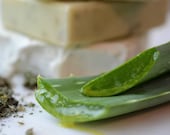 Nettle Leaf Aloe Vera Shampoo Bar Pro-Vitamin B5 Coconut-Free All Hair Types Volume Lustrous Balance Zero Waste Palm-Free