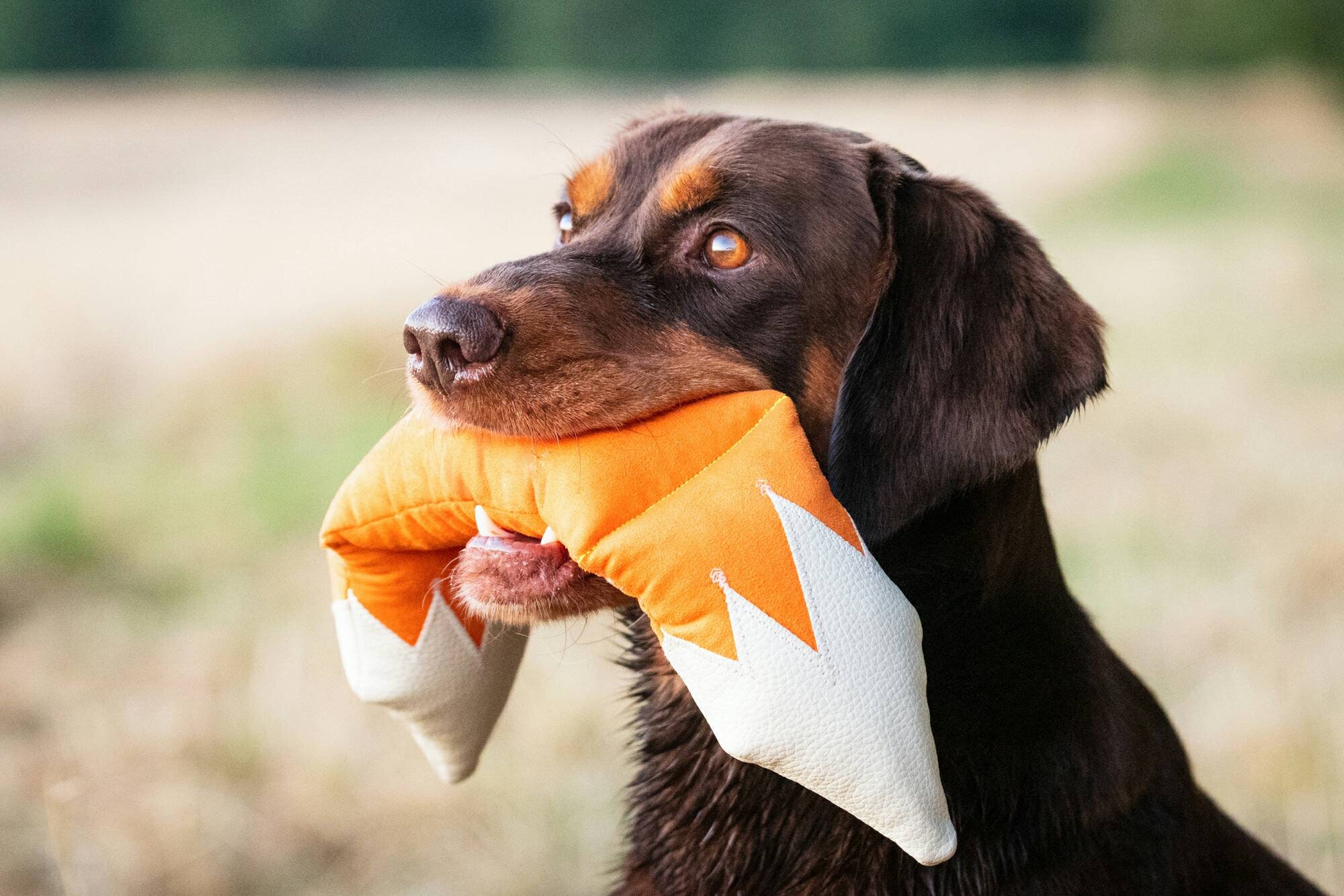 Hundespielzeug Handgefertigt dreiteiliges Apportel Dummy Etsy