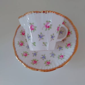 Salisbury teacup and saucer