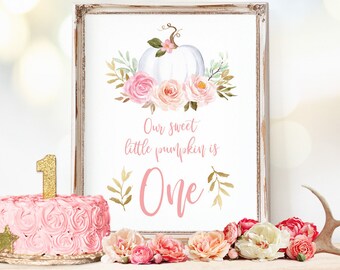 First Birthday Poster Sign Printable Baby's 1st Birthday - Etsy