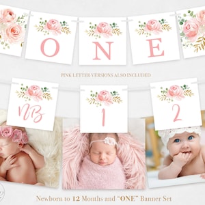 Baby Milestone Banner Set, Newborn to 12 Months Banner, Pink or Gold Numbers, "ONE" Banner, 3x3 inch Squares, Pink Blush Floral, MCP821