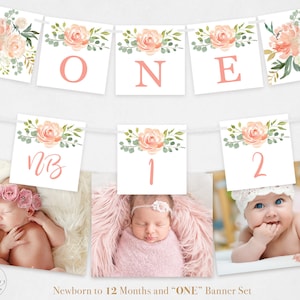 PEACH Floral Baby Milestone Banner Set, Printable Newborn to 12 Months Banner, &quot;ONE&quot; Banner, 3x3 inch Squares, Girl, MCP809