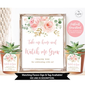 DIGITAL Baby Shower Invitation, Electronic, Girl Baby Shower Invite, Editable, It's a Girl, Blush Pink Floral, Textable, MCP820, CJB image 5