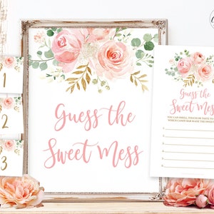 Guess the Sweet Mess Game, Dirty Diaper Game, Guess the Chocolate, Printable Girl Baby Shower Game, Blush Pink Floral, Gold, MCP820