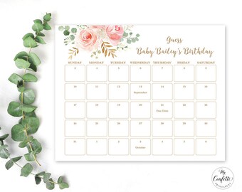 Blush Pink Floral Baby Due Date Calendar Game Sign, Printable Baby Birthday Prediction Game Template, Editable Text, MCP820, CJB