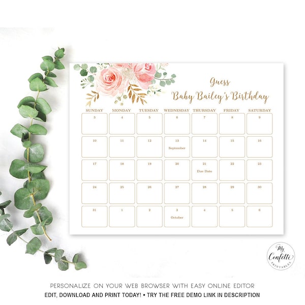 Blush Pink Floral Baby Due Date Calendar Game Sign, Printable Baby Birthday Prediction Game Template, Editable Text, MCP820, CJB