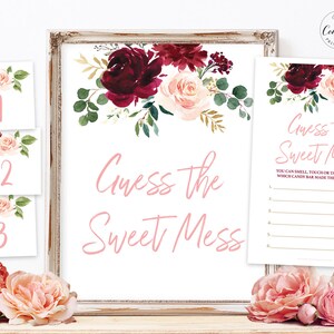 Guess the Sweet Mess Game, Dirty Diaper Game, Printable Girl Baby Shower Game, Sign, Cards and Numbers, Burgundy Pink Floral, MCP816