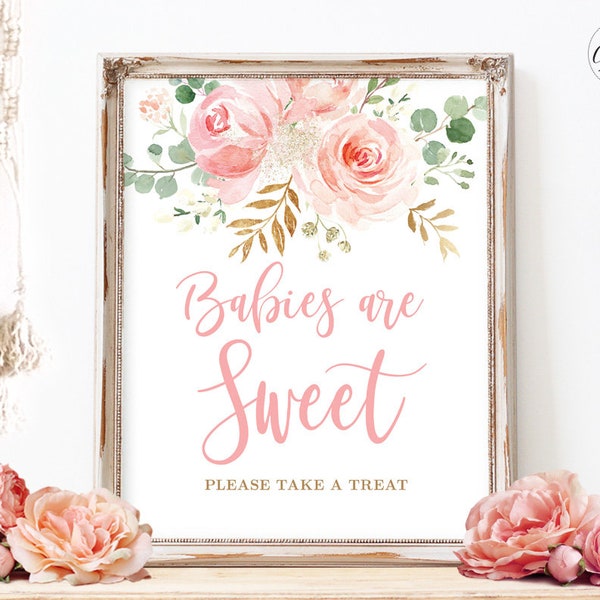 Babies are Sweet, Please Take a Treat Sign, Printable Desserts Sign, Blush Pink Floral, Boho, Girl Baby Shower, Sweet Treats, 8x10, MCP820