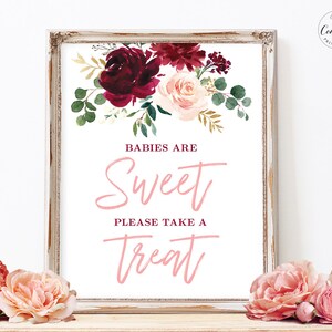 Babies are Sweet Please Take a Treat Sign, Printable Desserts or Favors Sign, Blush Pink Floral, Boho, Girl, Sweet Treats, 8x10, MCP816