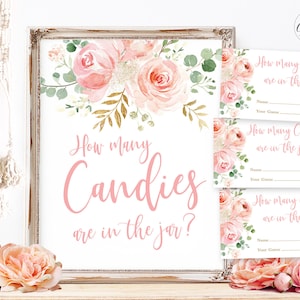 How Many Candies are in the Jar Baby Shower Game (Bottle Version Included), Printable Baby Shower Game, Blush Pink Floral, MCP820