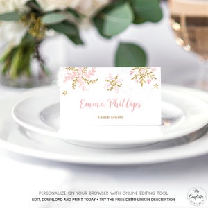 Snowflake Place Cards, Editable Place Card Template, Baby Shower, Birthday, Pink, Winhter, MCP842, MCP843, CJB