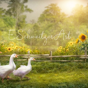 Summer Farm Digital Backdrop for Photographers. Maintenance Download. Children Photography. Countryside background. Goose Geese Birds Animals.