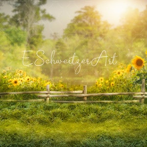 May include: A rustic wooden fence with a field of sunflowers in the background. The sunflowers are in bloom and the field is green. The sun is shining brightly and there is a soft glow in the background.